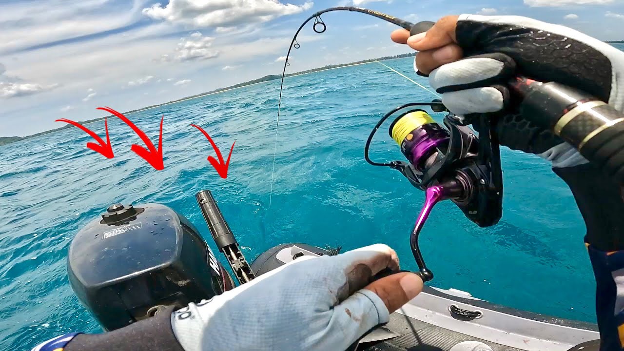 BENAR BENAR TEPAT DI SARANG IKAN ..!! TURUN NYUT TURUN NYUTT , TES REEL DAIDO VENDETTA
