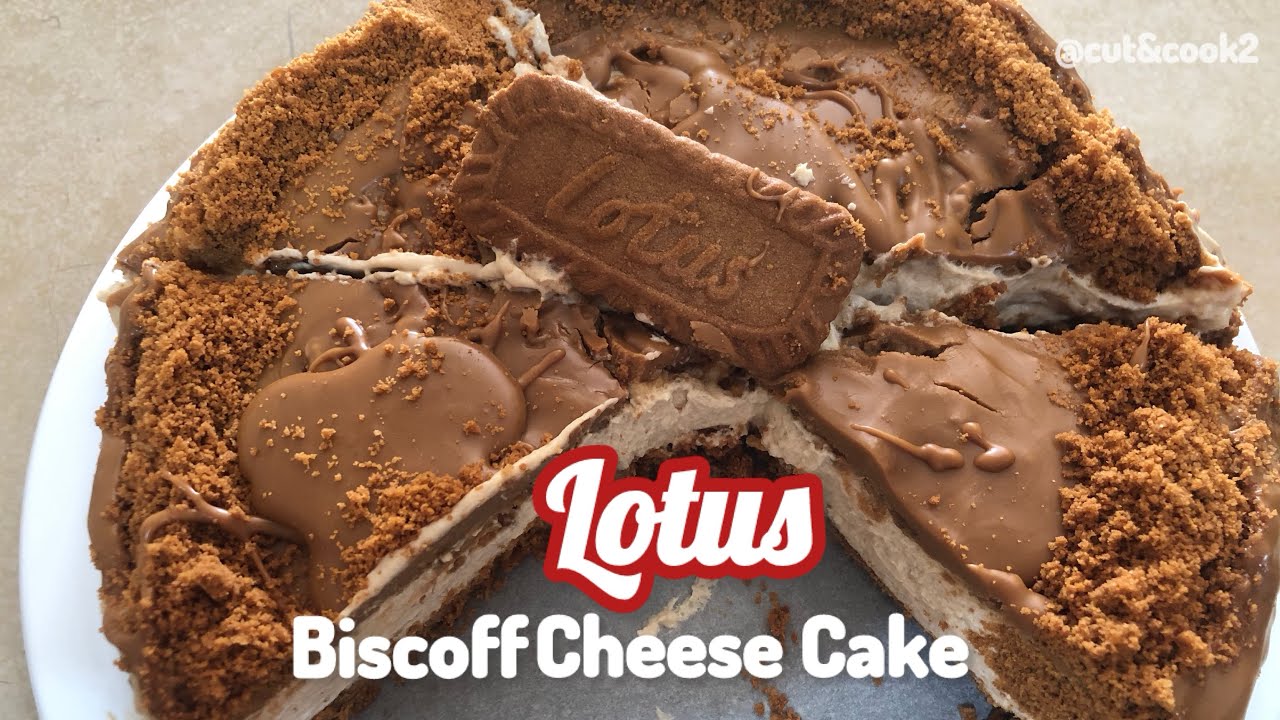 Lotus Biscoff Cheesecake | No cooking | No Baking | Low Budget Homemade Recipe 