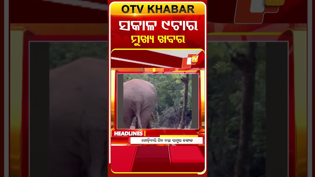 ସକାଳ ୯ ଟା ଟପ୍ ହେଡଲାଇନ୍ସ  #OTVHeadlines #TopHeadlines #OTV #Odisha