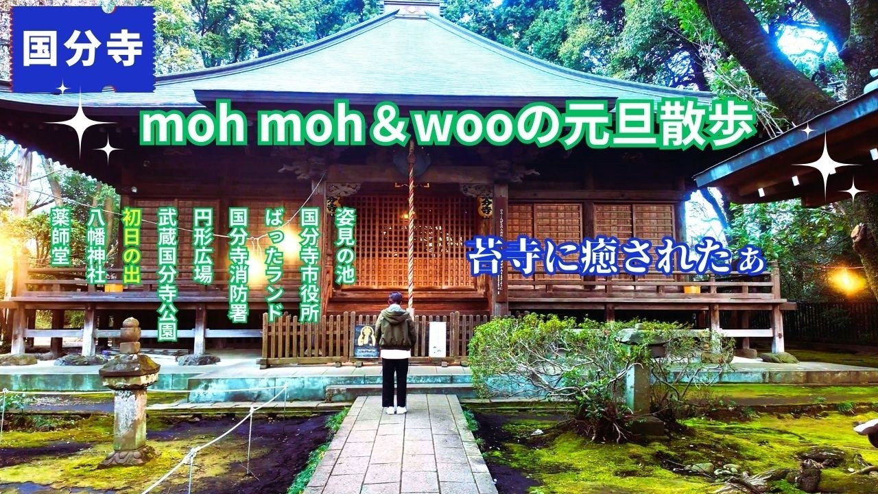 【mohmoh&wooの元旦散歩】2026 国分寺 初詣と初日の出｜苔の薬師堂｜不思議な八幡神社｜日の出の武蔵国分寺公園を歩く・静かな街とカワセミ tokyo japan