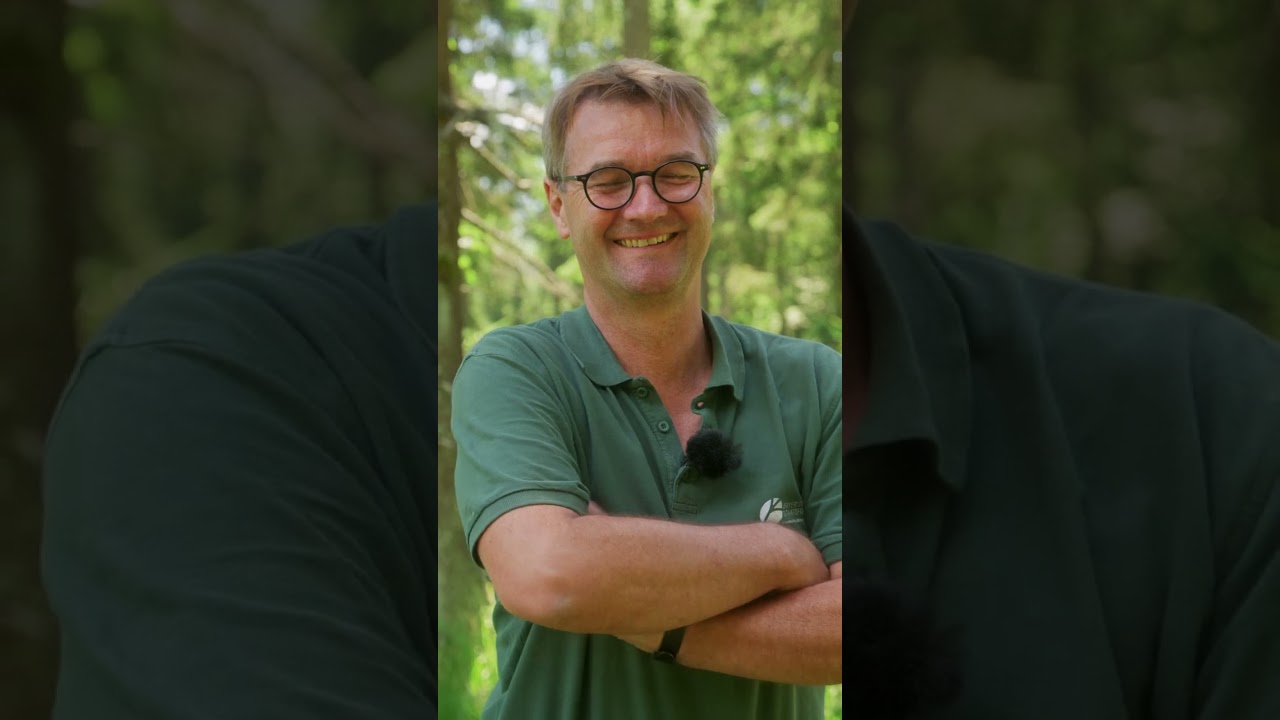 Warum F&ouml;rster auch J&auml;ger sind I WILD & EHRLICH mit Hubertus Schmidt TEASER