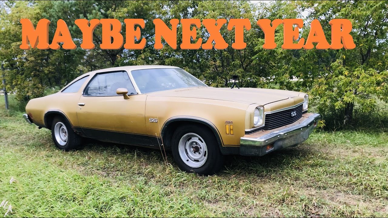 1973 Chevelle SS 454 4 Speed Maybe Next Year.  1 Of 8 Sold In Canada, RARE