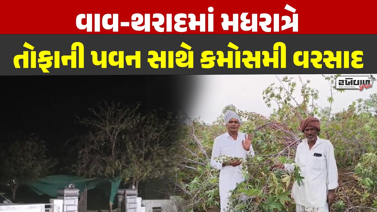 વાવ-થરાદમાં મધરાત્રે તોફાની પવન સાથે કમોસમી વરસાદ