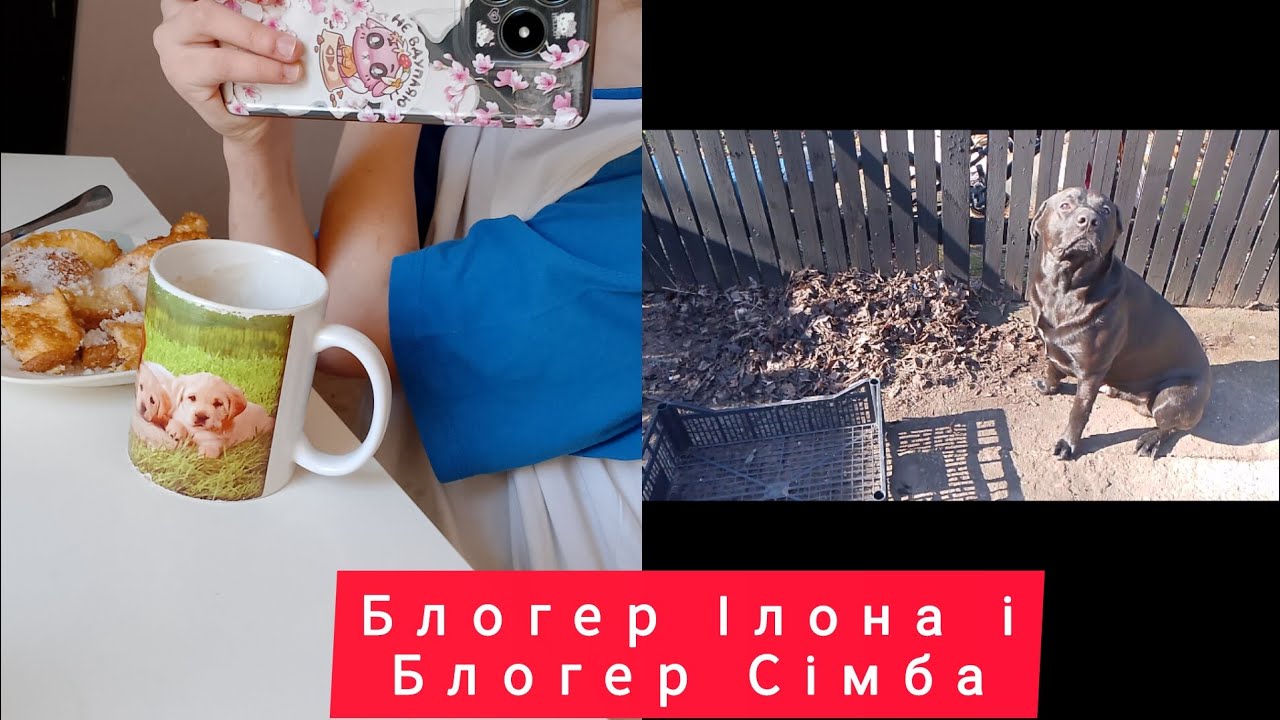 Сільський день шаленої сімейки,,😆,прибирання подвір'я і час для себе