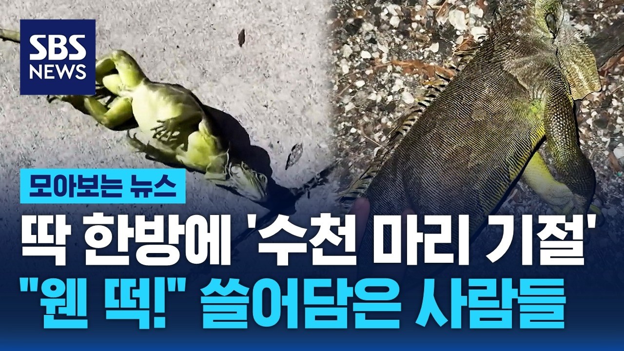 딱 한방에 '수천 마리 기절'…