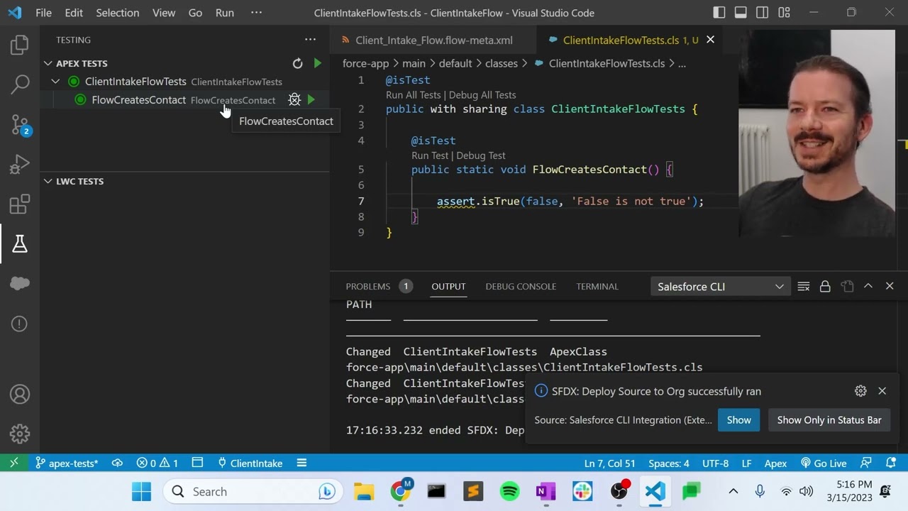 Apex Tests for Flows | Salesforce Developer