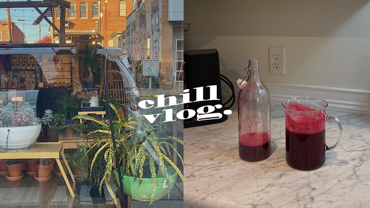 chill vlog 002 // cooking + new additions to my living space.