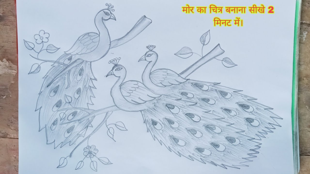मोर का चित्र बनाना सीखे/how to draw a peacock very easy for peacock hand drawing banana peacock sikh
