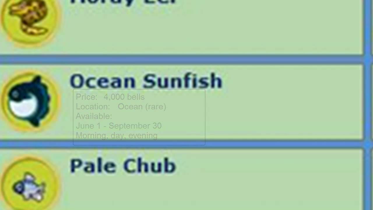 Animal Crossing City Folk Fish Guide