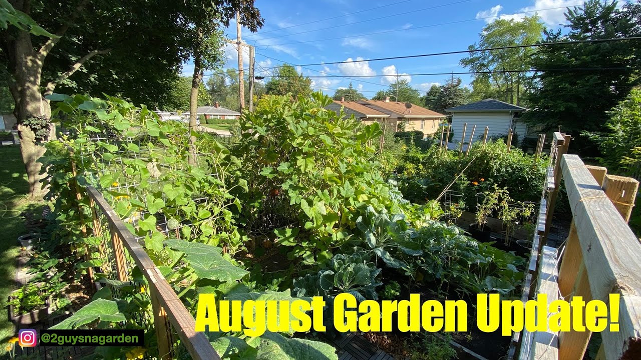 August Garden Update