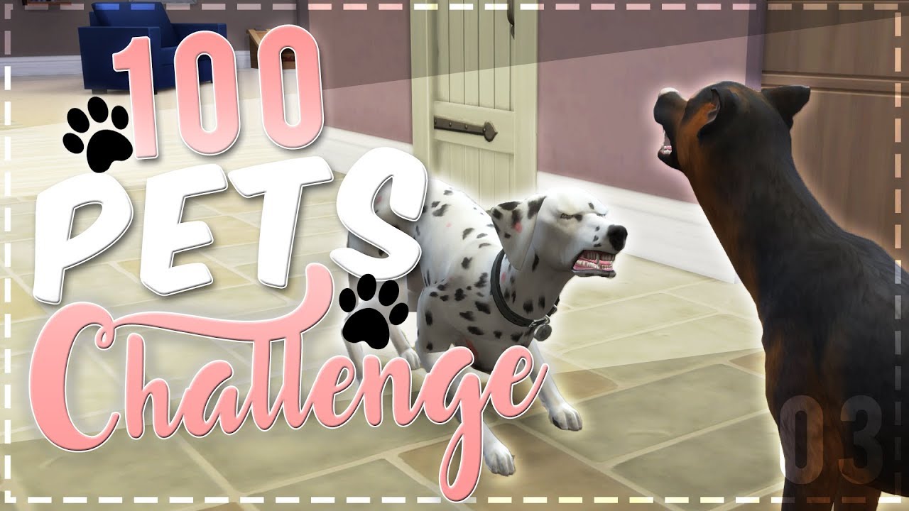 The Sims 4 | 100 Pets Challenge // Breeding Attempt [03] | Mousie