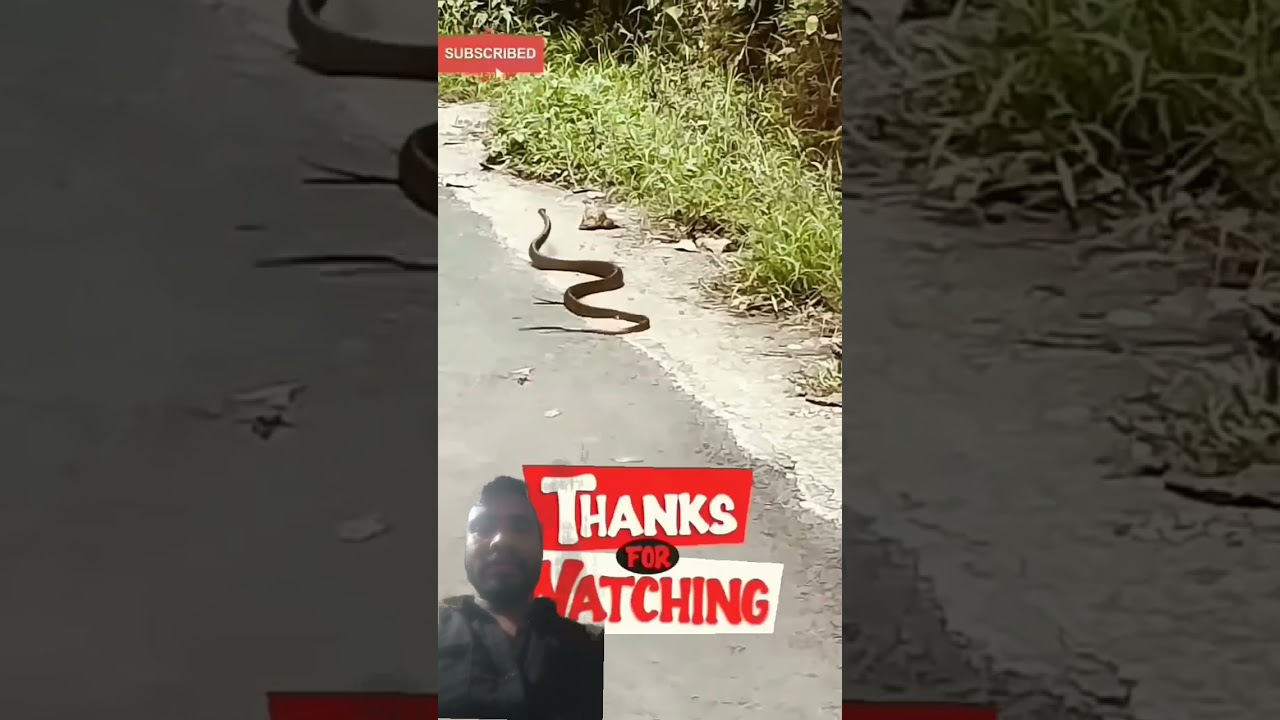কি আজব, 