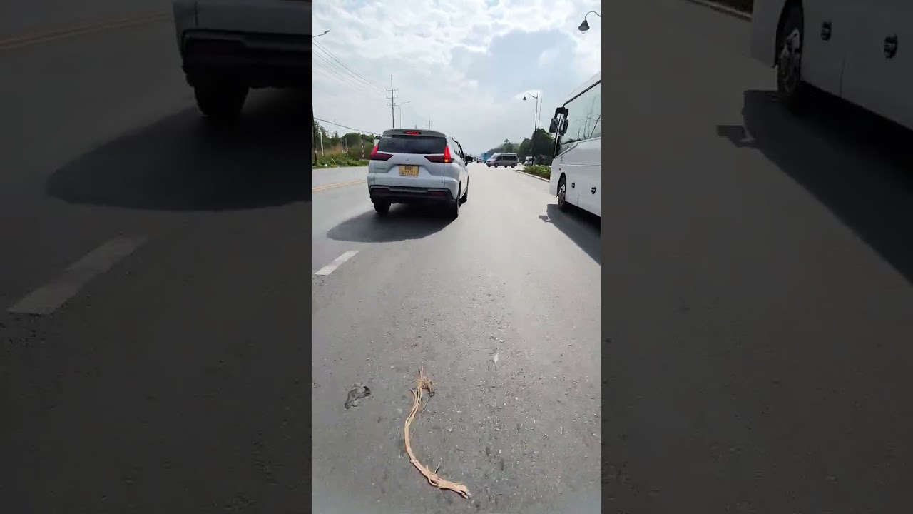 Gành Dầu - Puerto de Bài Vong en MOTO, Phu Cuoq, VIETNAM, Domingo