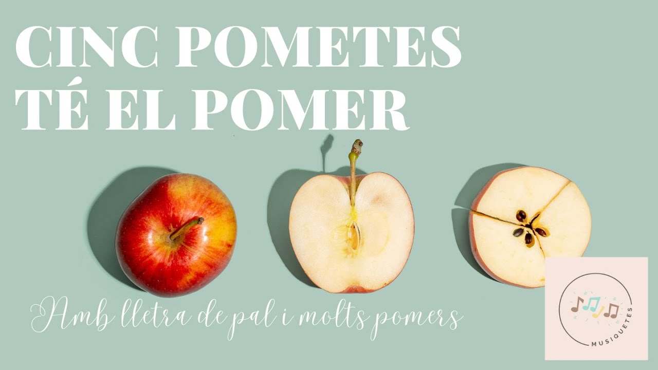 CINC POMETES TÉ EL POMER. 5 pometes té el pomer.