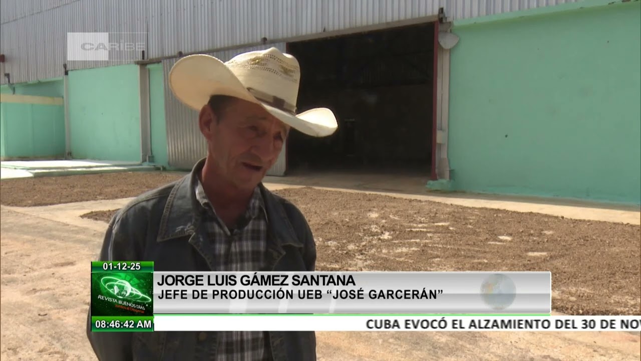 Cuba: Proyecto de recuperación ganadera se ejecuta en Empresa Pecuaria Genética del Este