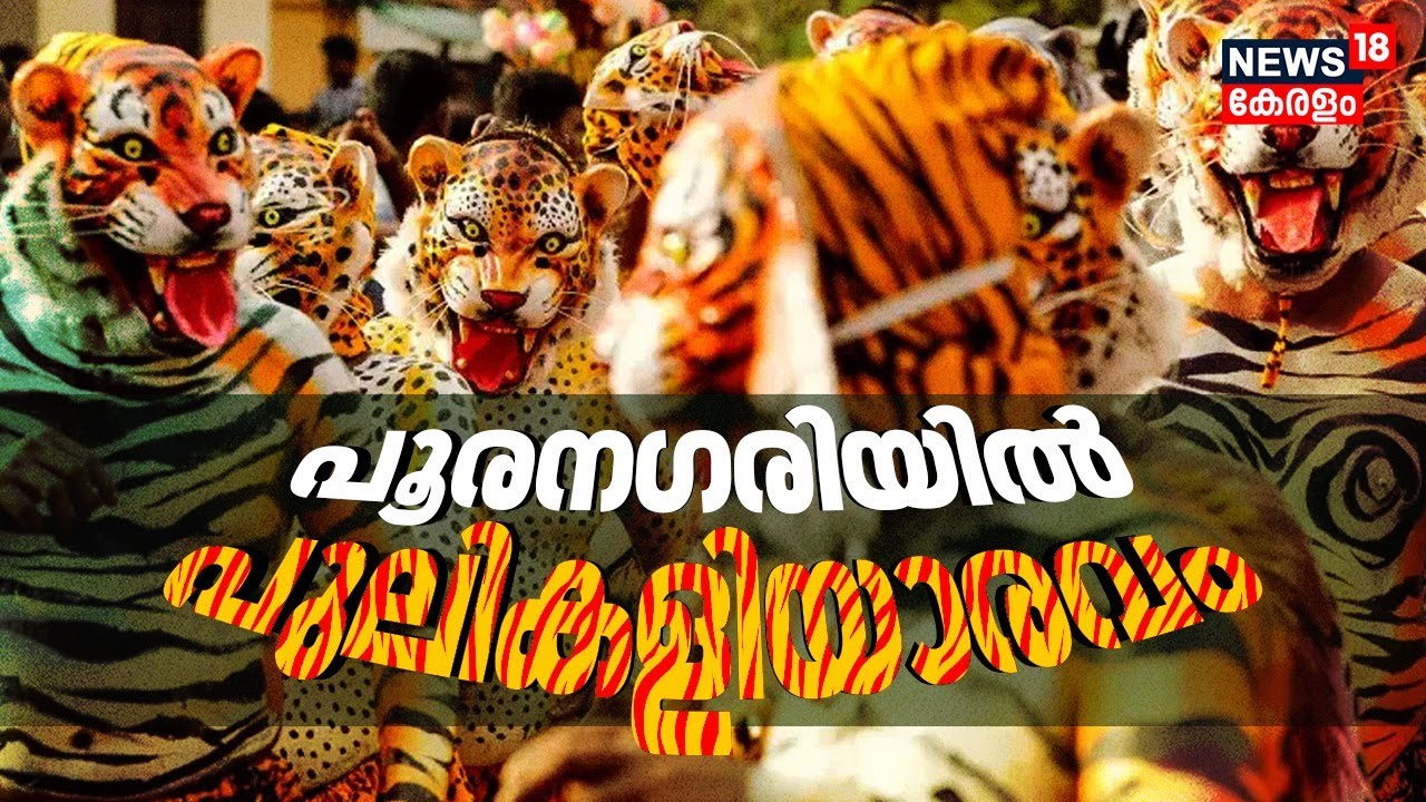 🔴HD LIVE I ശക്തന്റെ തട്ടകത്തിൽ പുലികളി |Thrissur Pulikali 2025 | Onam celebration | Pulikali |Kerala
