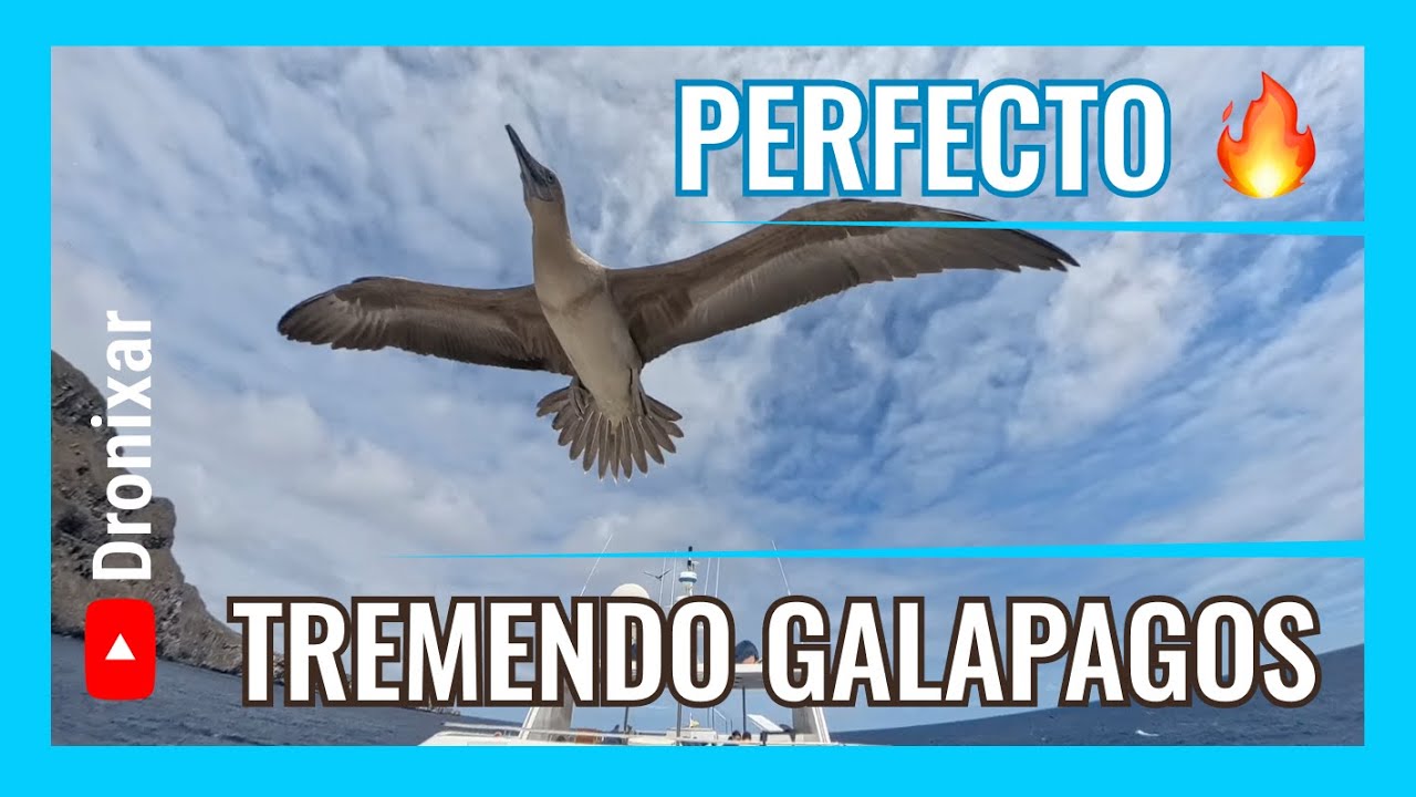 Galápagos bajo el agua, tremendo | El día que apareció TODO - Parte 2,  Calipso - 4k UHD