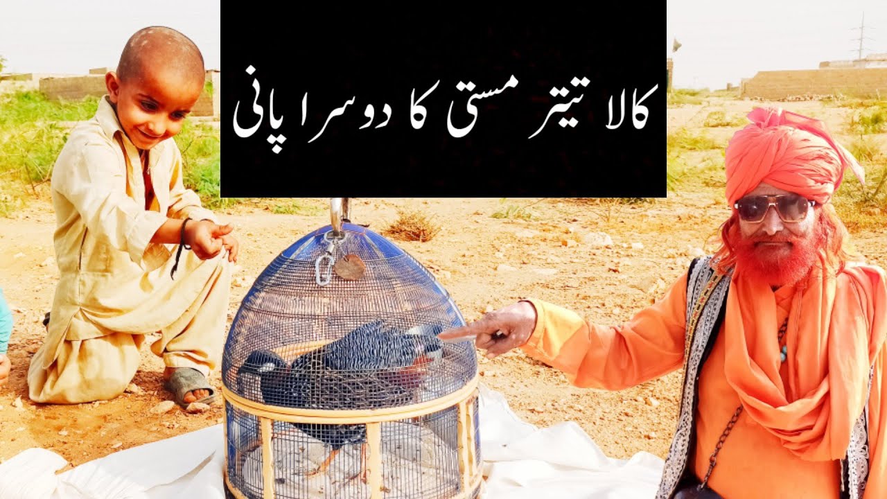 kala Teetar Musti Ka Pani June Month جون ماہ میں مستی کا پانی