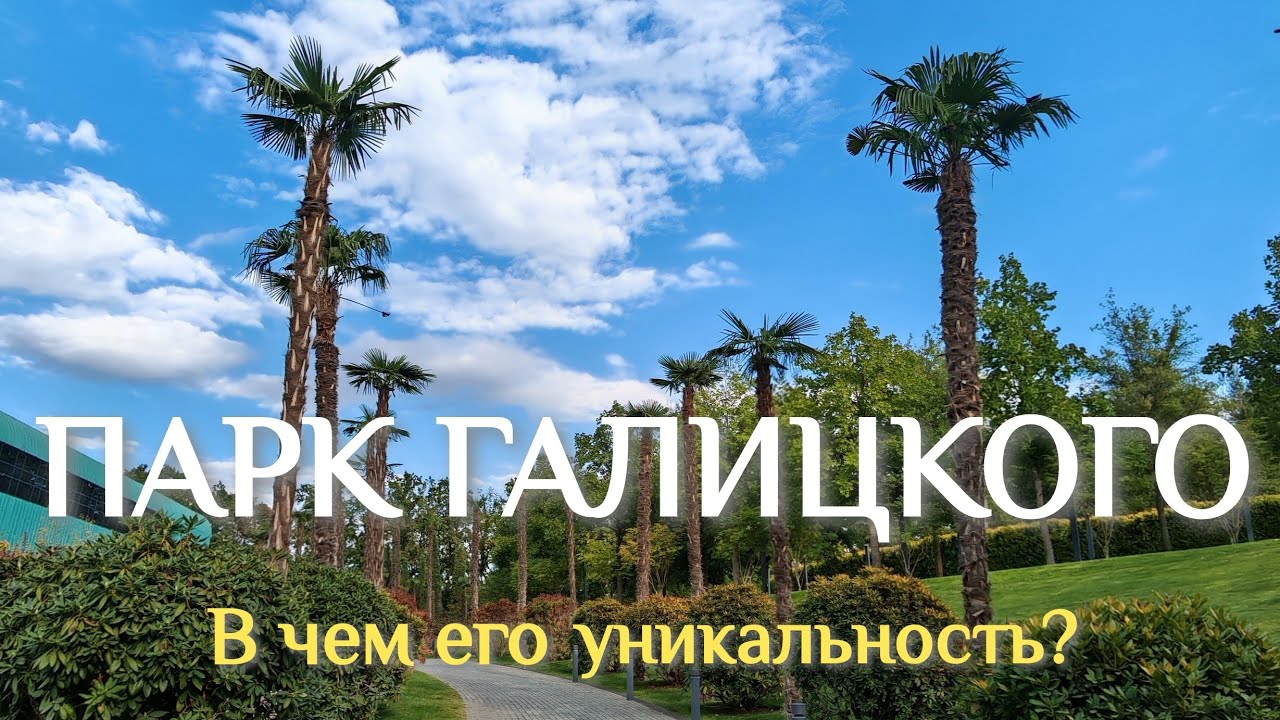 ПАРК ГАЛИЦКОГО УДИВЛЯЕТ В НОЯБРЕ 🍁 Relaxing 4K video. Пальмы, фонтаны#паркгалицкого #asmrvideo