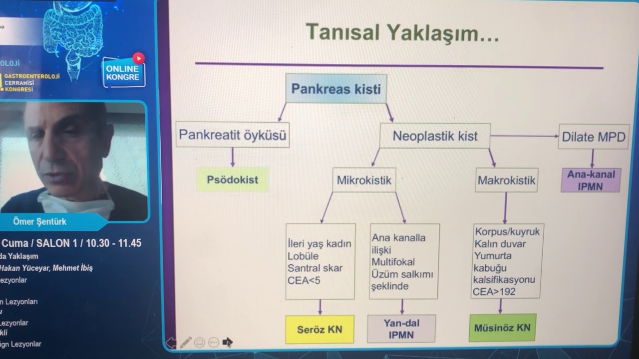 Pankreasın Prekanseröz Lezyonları