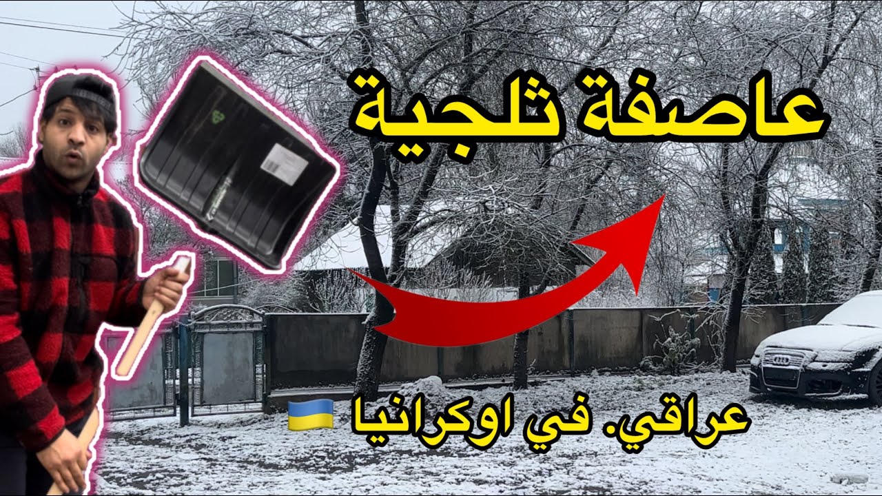 اشتريت هدية 🎁 بنت الجيراني الاوكرانية _ وطبخت تمن ودجاج | مصطفى ستار
