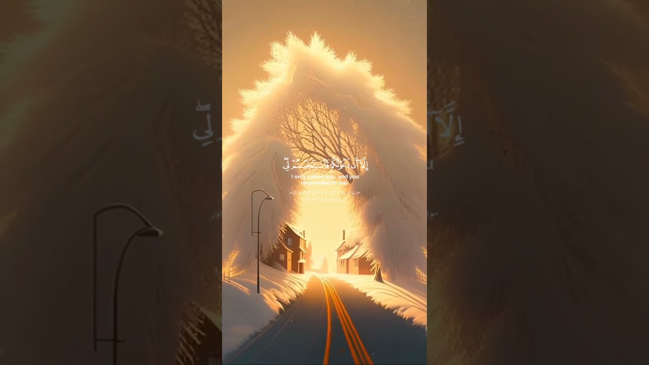 #quranvideo