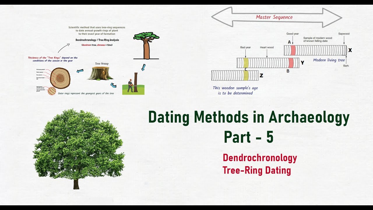 Dating Methods in Archaeology (Part 5) | Tree-Ring Dating