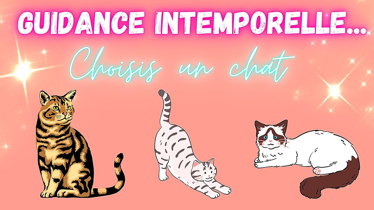 GUIDANCE INTEMPORELLE 🌟🍀 3 choix #guidance #cartomancie #tarot #oracle #mariecartomancieetcompagnie