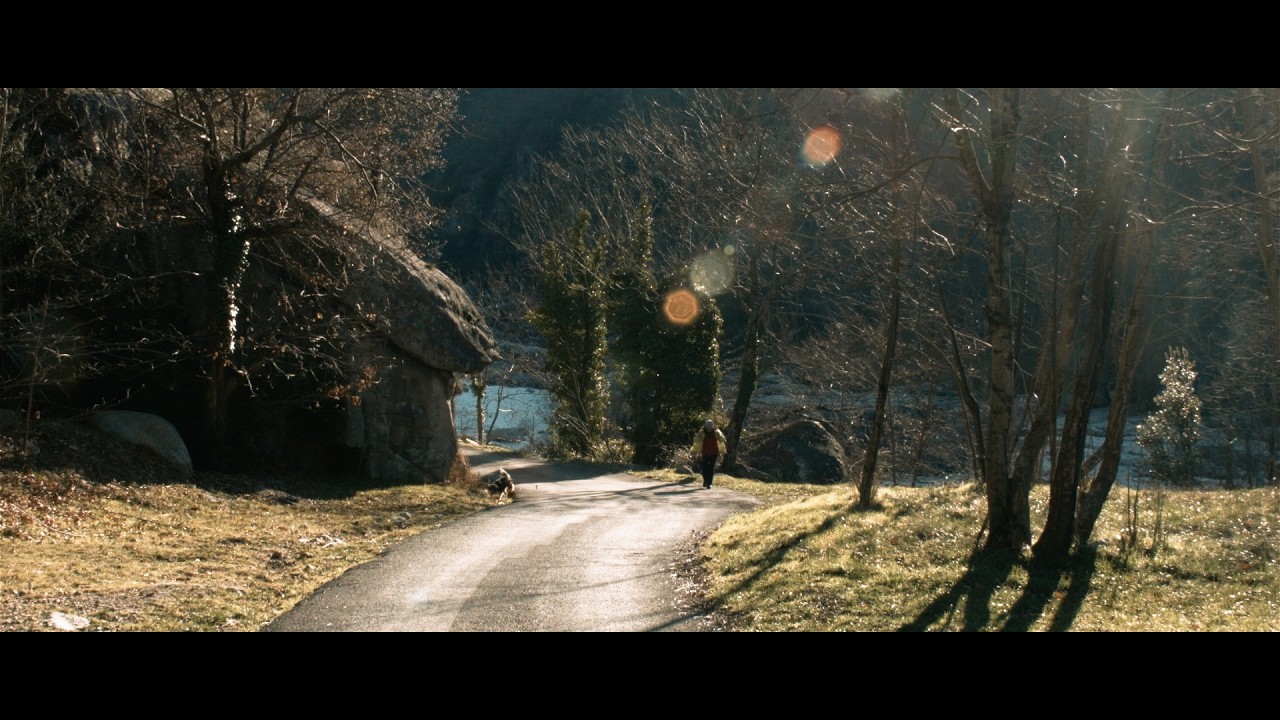 Cinematic Dog Walk in a Hidden Canyon | South of France Nature Escape