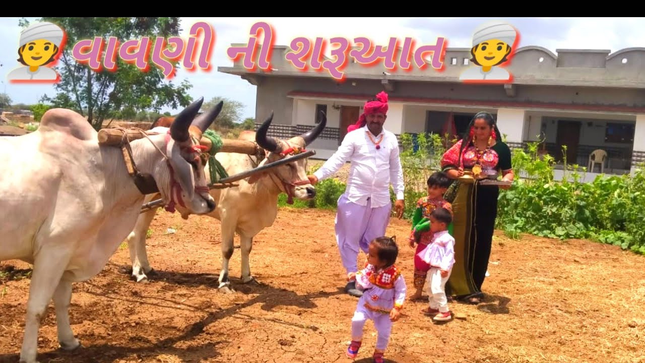 મામાએ વાવણી કરવાની શરૂઆત કરી// sundar video vavani ka banaya hai #ખેડૂતપુત્ર #vimal_gadhavi