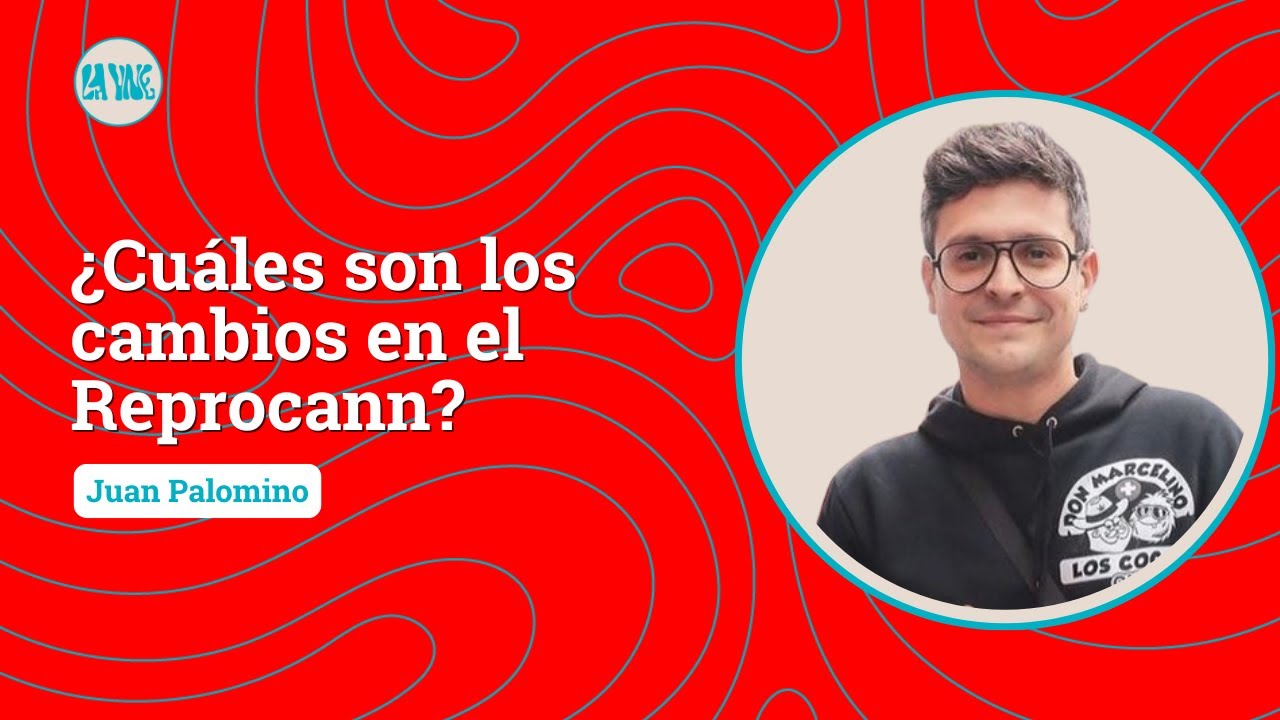 ANALIZAMOS LAS NUEVAS NORMATIVAS DEL REPROCANN CON JUAN PALOMINO, ABOGADO CANN&Aacute;BICO