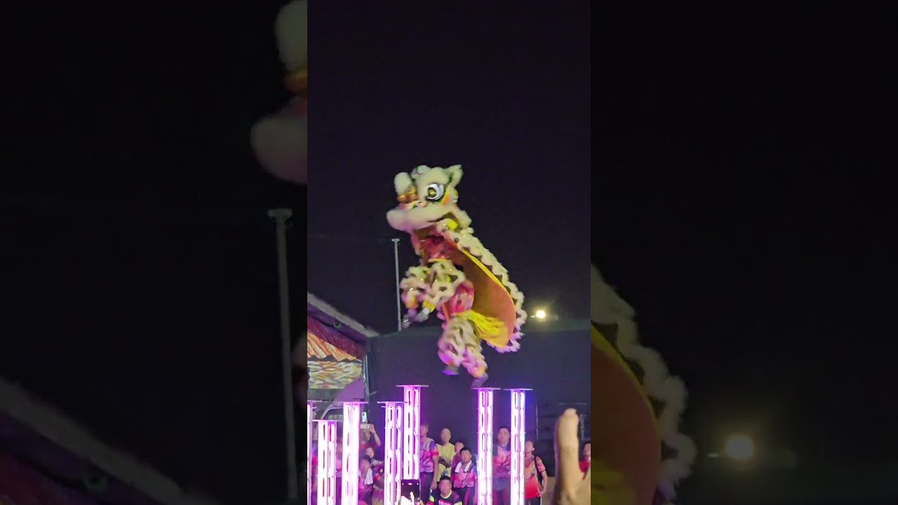 ccy tg sepat  lion dance February 2026