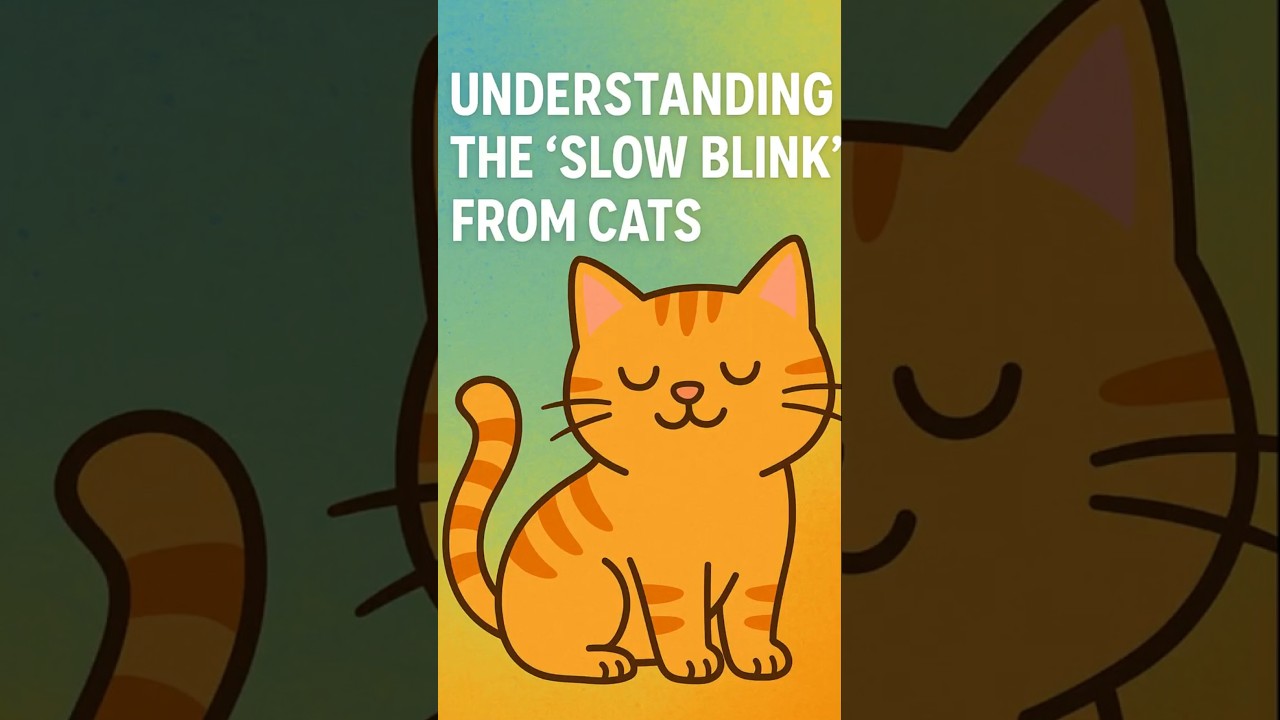 Understanding the &ldquo;Slow Blink&rdquo; From Cats