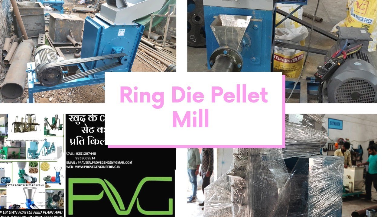 Ring die pellet machine || Flat die pellet mill ||Cattle feed plant || Poultry feed plant