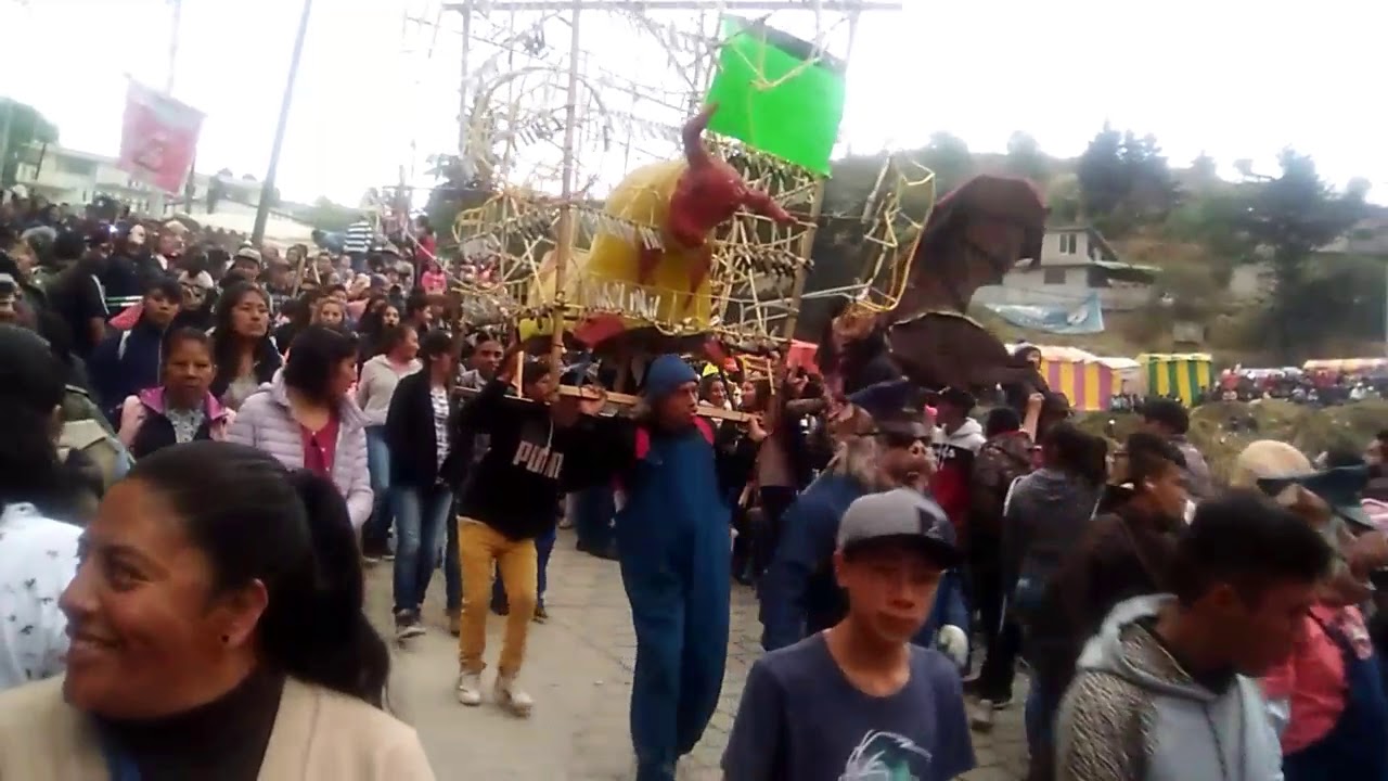 Carnaval de San Lorenzo huitzizilapan 2019 💥💣💥💣🐃🐃 pt.2