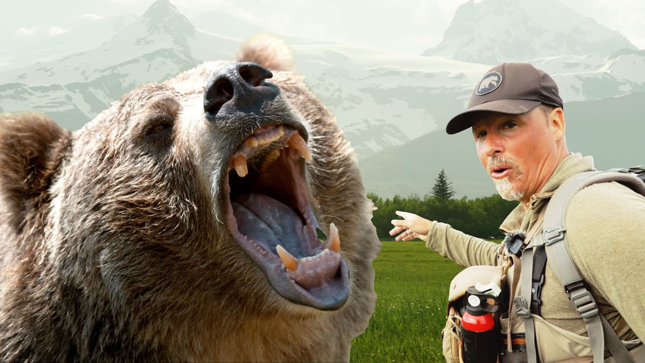 Finding the Most Aggressive Bear in Alaska