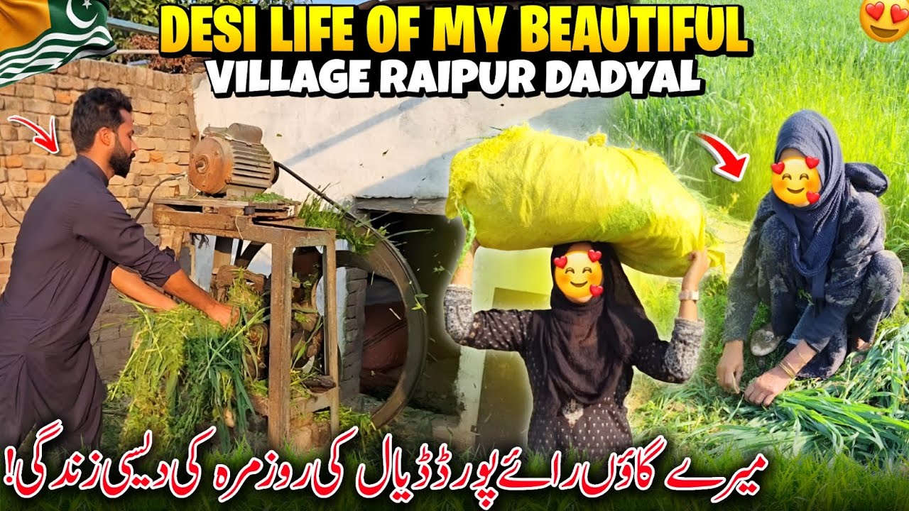 Desi Life Of My Beautiful Village Raipur Dadyal 😍✨ Meri Village Ki Desi Life | Family Vlog