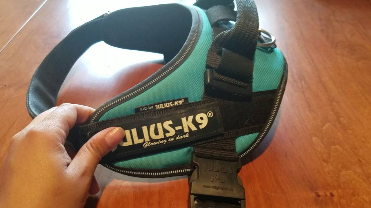 Julius-K9 Product Review- IDC Powerharness