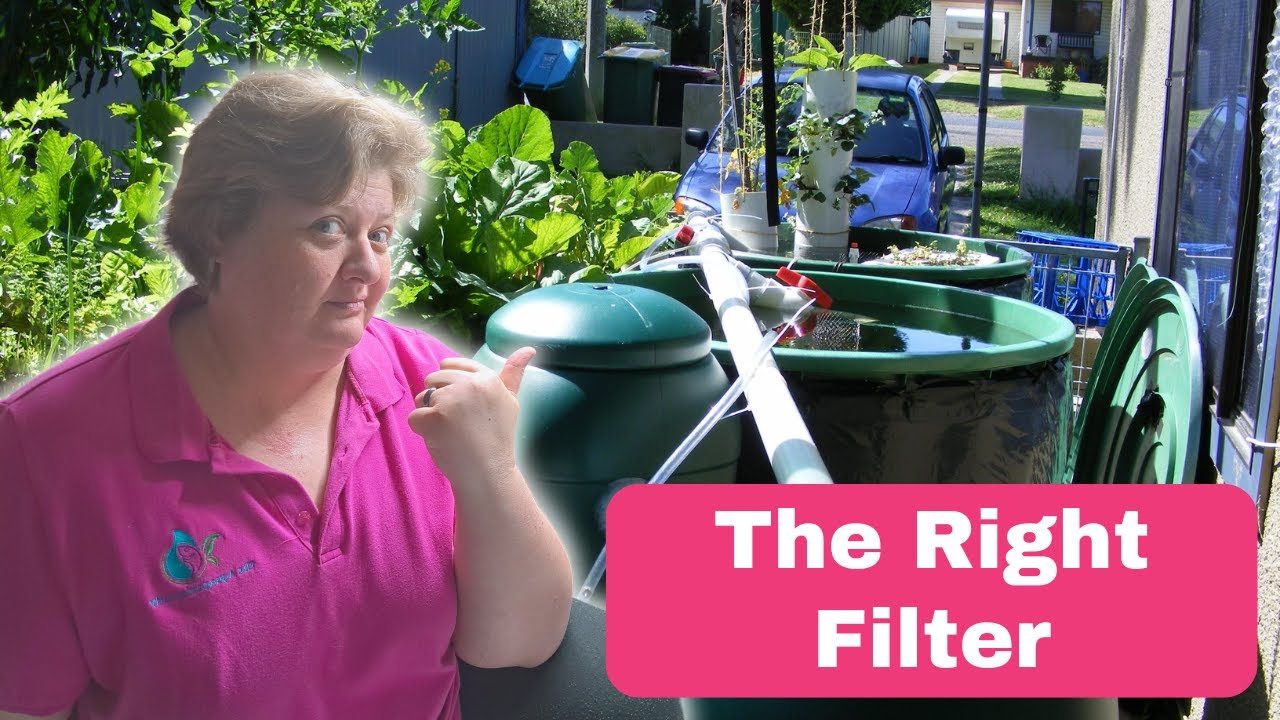 What type of FILTER does Aquaponics NEED for beginners | Solids and Biological