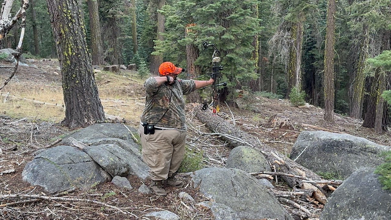 Brutal D Zone Archery Hunt | Heat, more heat and few signs of Animals