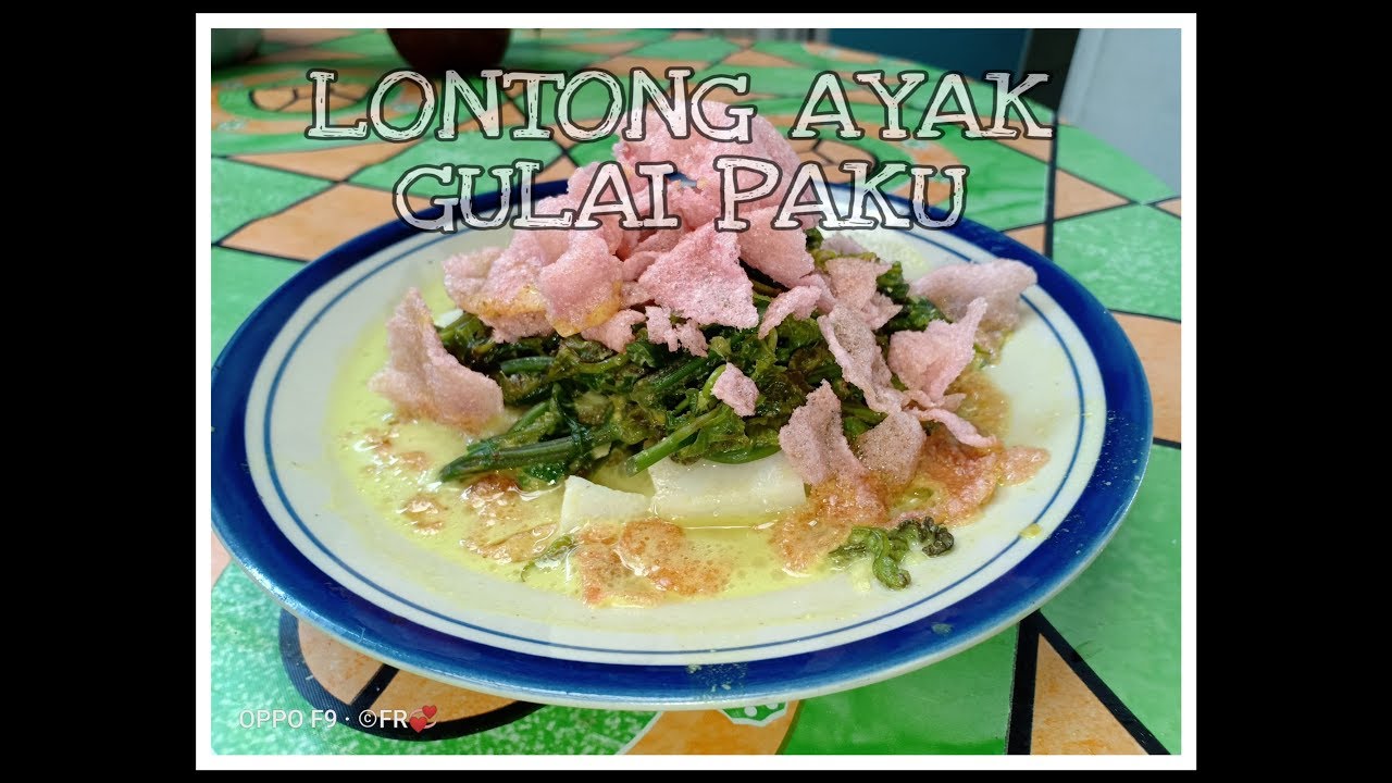 Resep LONTONG AYAK GULAI PAKU (LONTONG MAGIC COM) khas Dapur Uni ET