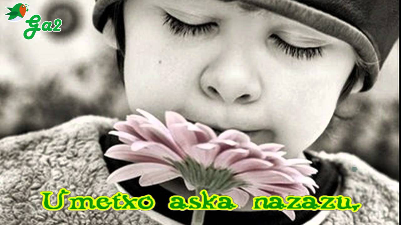 loretxoa -Exkixu-