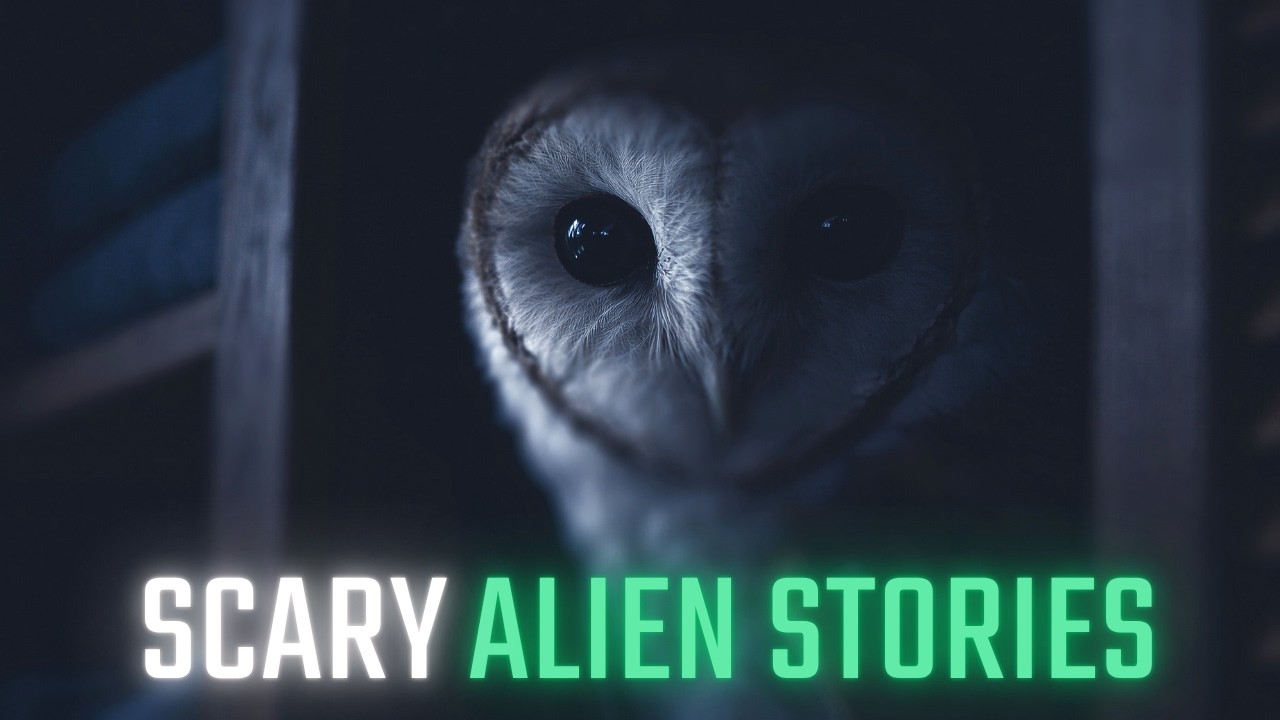 Scary Alien Stories - 3 More Incredible Scary Stories About Alien Contact and UFO Sightings