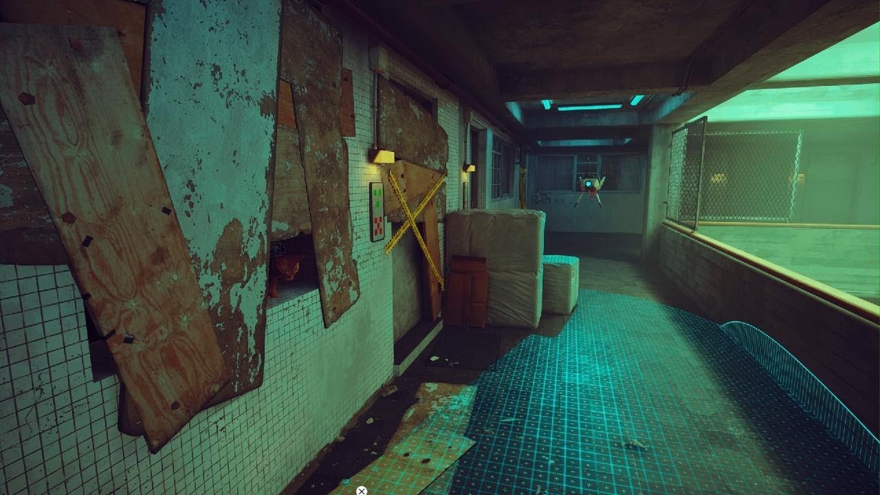 Stray - Sneakitty Final Stretch