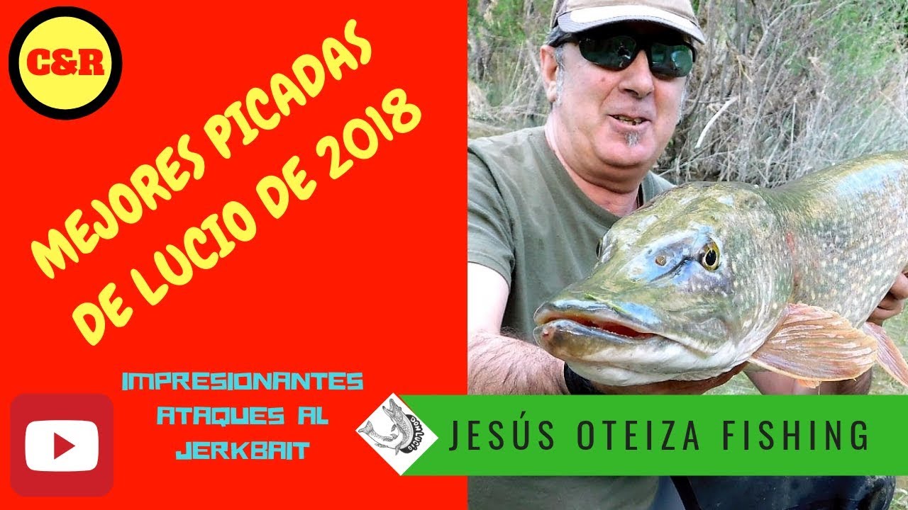 Las mejores picadas de lucios de 2018. The best pike attacks of 2018.