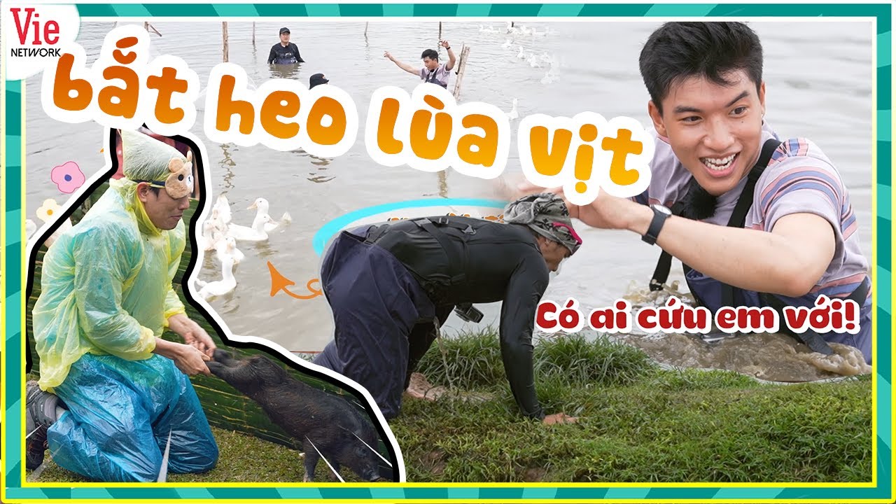 CƯỜI NGẤT NGÂY những màn BẮT HEO LÙA VỊT Dương Lâm, Kiều Minh Tuấn run sợ cầm đuôi heo 2 NGÀY 1 ĐÊM