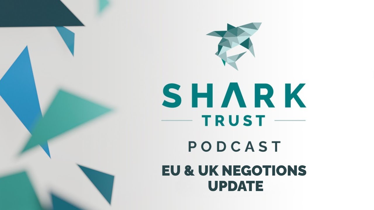 Update: UK and EU Negotiations