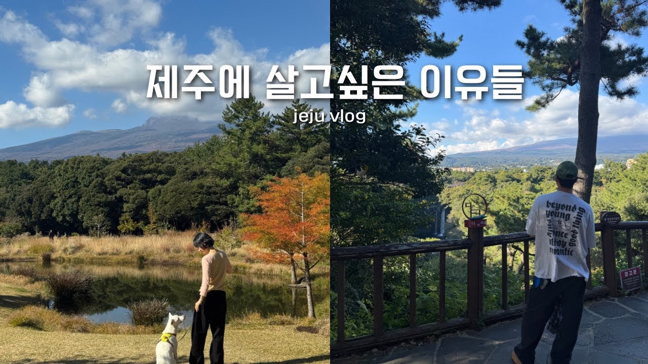 너무 예뻐서 버릴수 없었던 지난 제주일상 [정예ㅣ스튜디오위헤잇ㅣ무이카ㅣ물영아리휴게소ㅣ담소요ㅣ칠십리공원ㅣ아솥ㅣ발걸음동물병원ㅣ제주감귤박람회ㅣ백구옥)