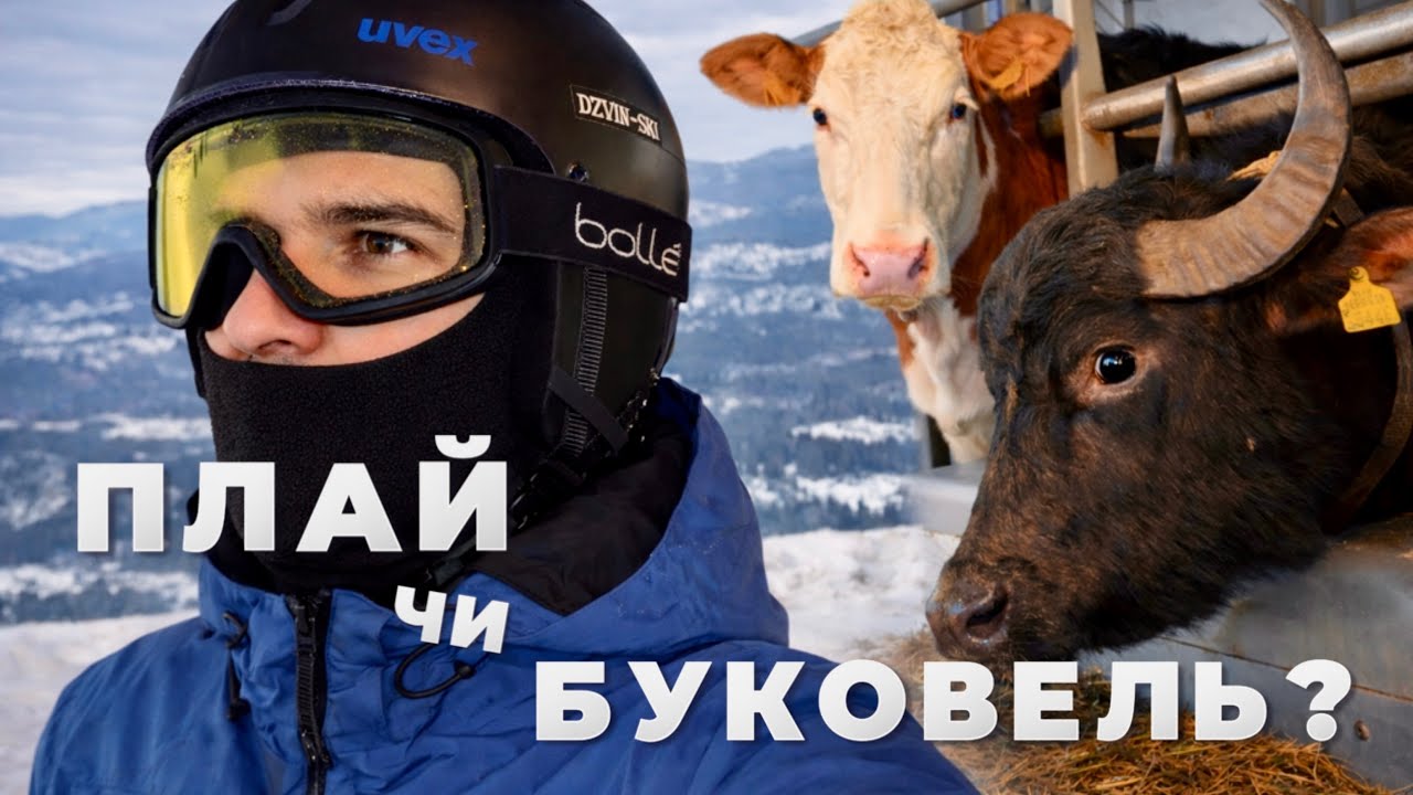 Плай дешевший ніж Буковель? Я порахував все до гривні (і доїв корову 😁🐄) Ціни, екшн, цікаві локації