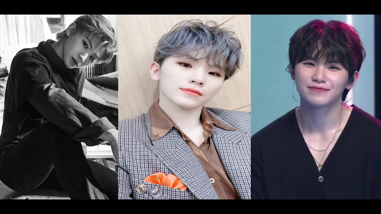 SEVENTEEN TIKTOK COMPILATION (PART 4) | LEE JIHOON (WOOZI) | Tiktoks 4u